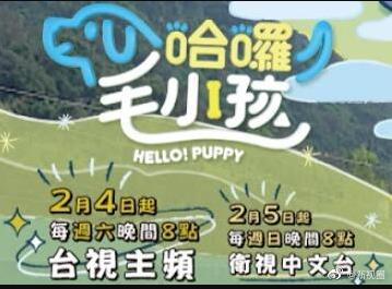 哈啰！毛小孩