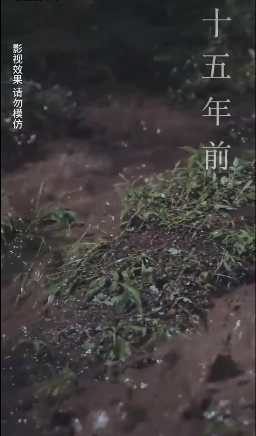 云深見(jiàn)朝陽(yáng)(全集)