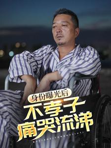身份曝光后，不孝子痛哭流涕(全集)