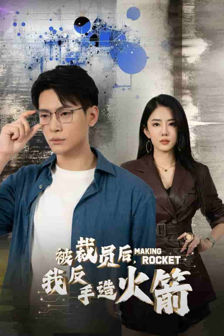 被裁員后，我反手造火箭(全集)