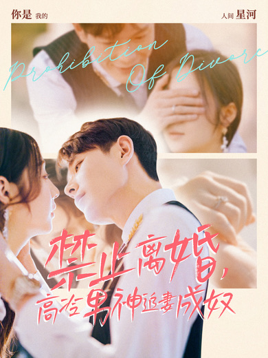 禁止離婚，高冷男神追妻成奴(全集)