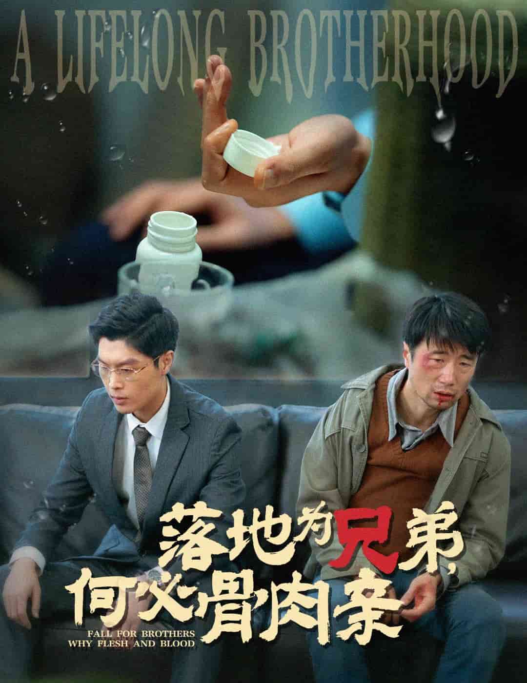落地為兄弟，何必骨肉親(全集)