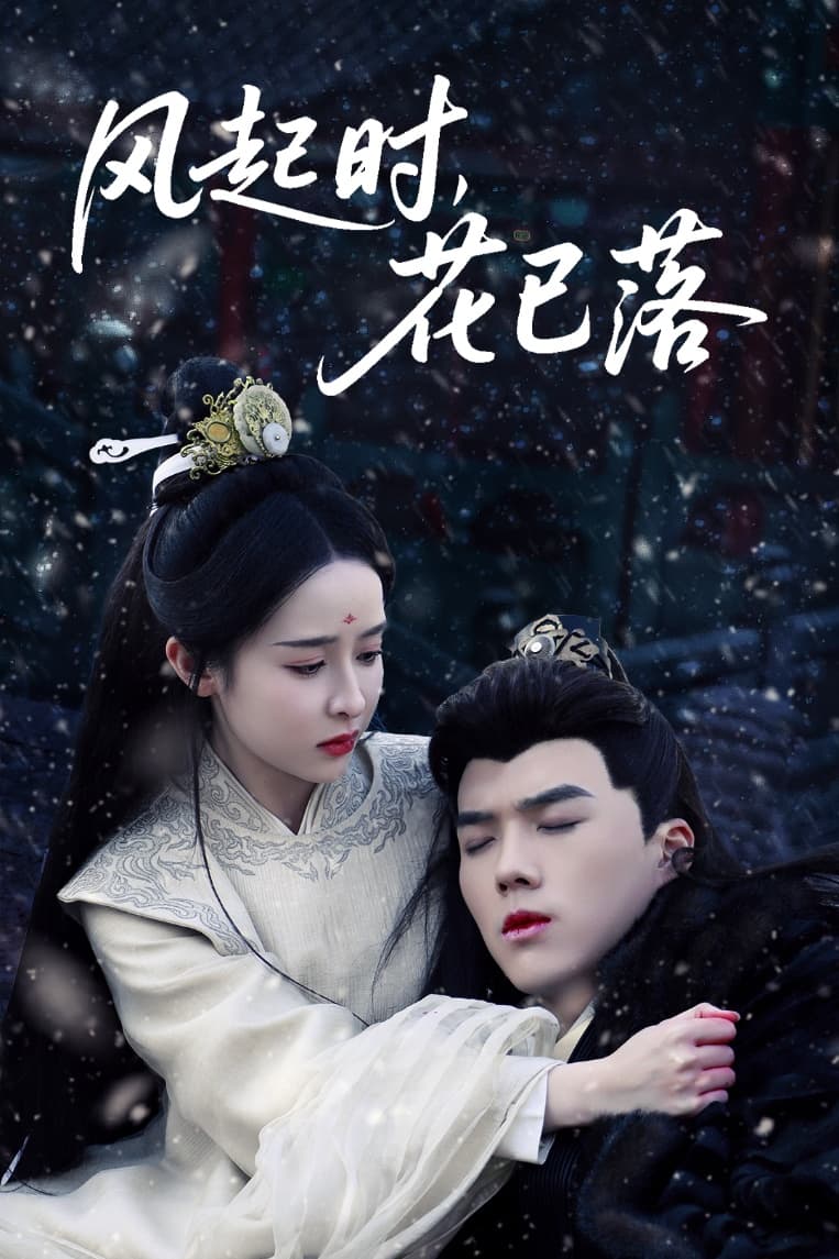 風(fēng)起時(shí)，花已落(全集)