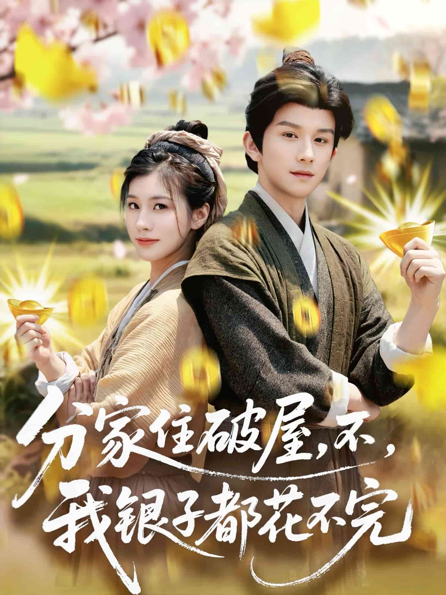 分家住破屋，不，我銀子都花不完(全集)