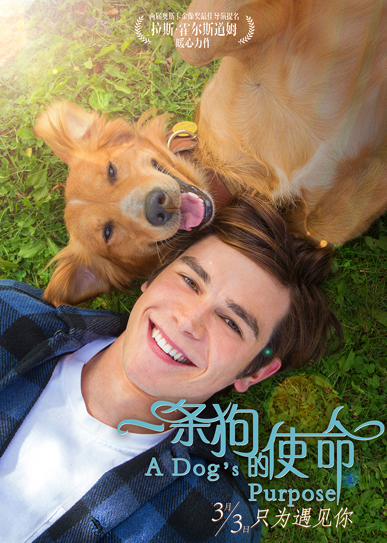 一條狗的使命(普通話(huà)版)